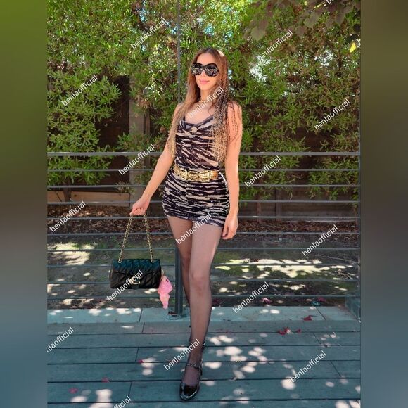 NWT SET ZARA TULLE 2 PCS ZEBRA PRINT SKIRT AND TOP - Picture 1 of 13